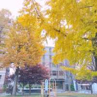 岩手県！町の中の岩手山神社
