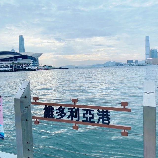 暢遊海濱花園，欣賞維港美景