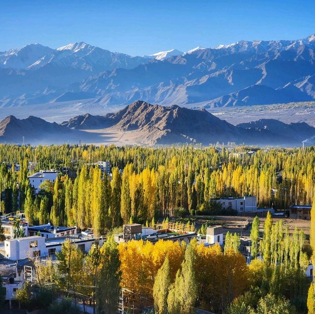 Autumn in Ladakh 🌿🍁
ฤดูใบไม้เปลี่ยนสีที่เลห์ 🇮