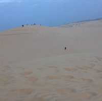 เนินทรายขาว...White Sand Dune, Mui Ne