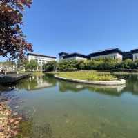 澳門大學休閒半日遊
