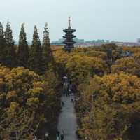 The Hanshan Temple. Suzhou from Above!