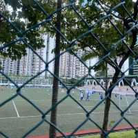 鰂魚涌公園+海濱長廊+寵物公園