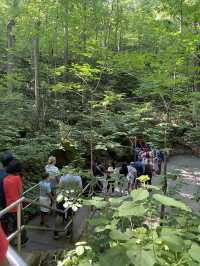 Mammoth Cave National Park