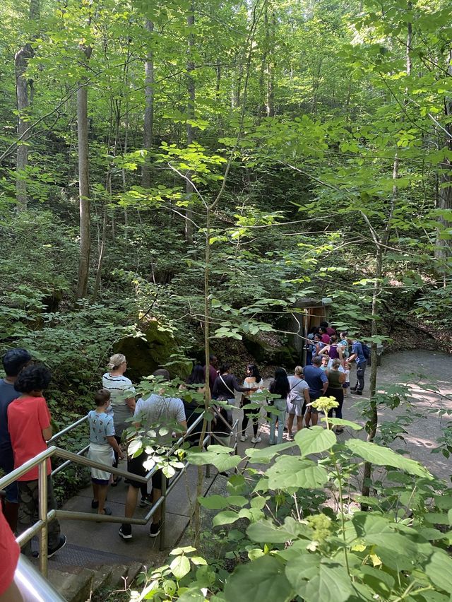 Mammoth Cave National Park