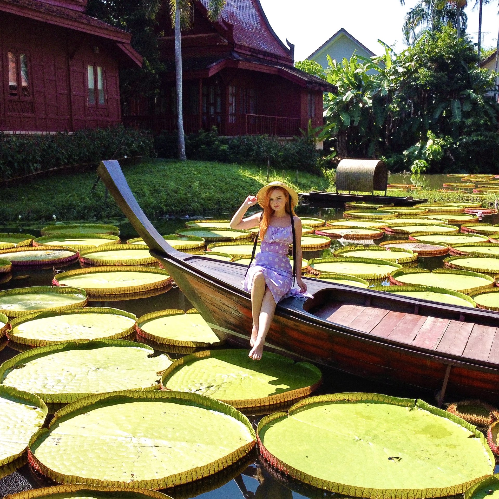 Ma Doo Bua cafe is an amazing place | Trip.com Phuket Travelogues