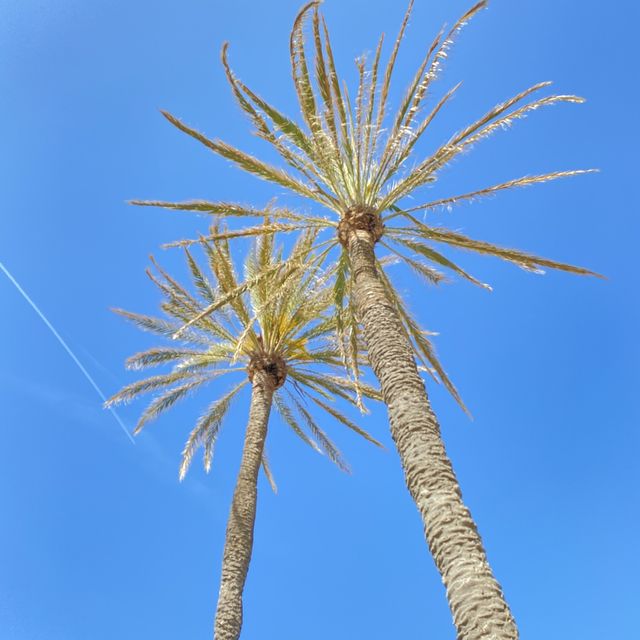 바르셀로네타 해변의 청량한 오션뷰🏖