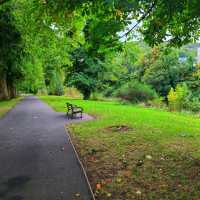 Beautiful Welsh Park