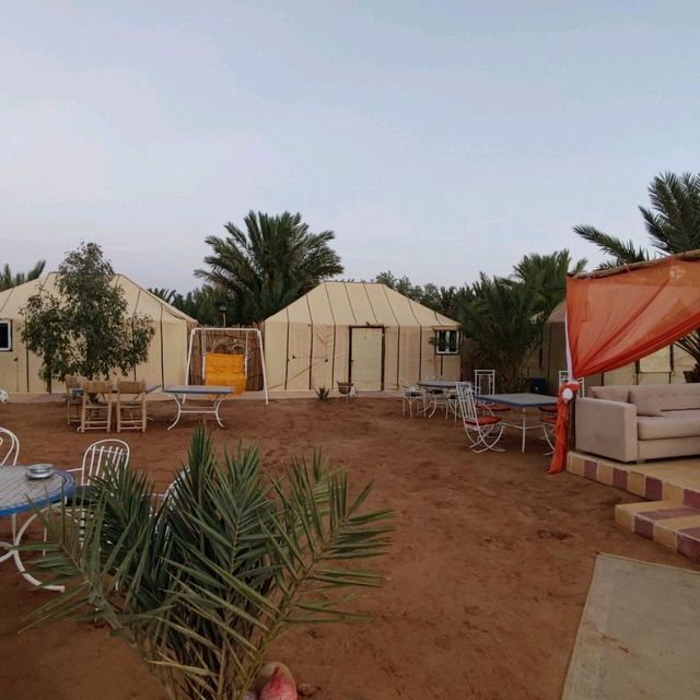Desert Camp