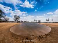 Oasis in Tengger Desert@Inner Mongolia