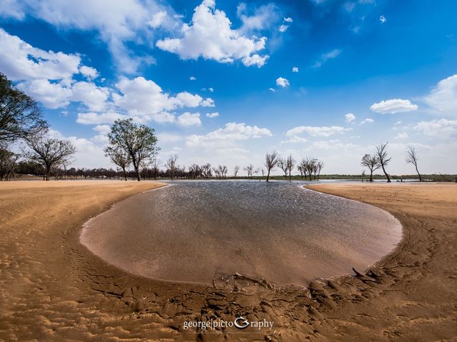 Oasis in Tengger Desert@Inner Mongolia