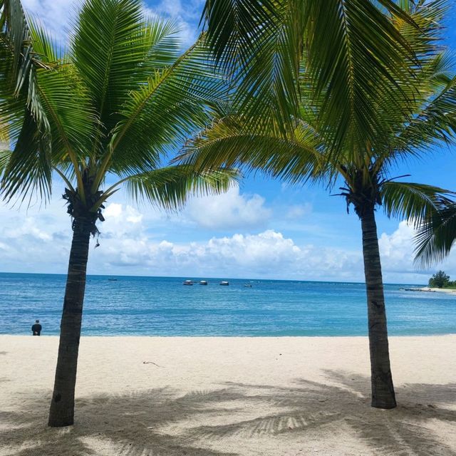 🌴A tiny slice of tropical paradise 🌴