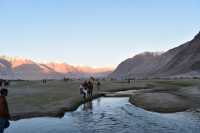 Nubra valley india