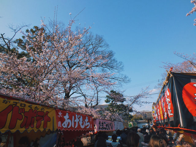 Kyoto, Japan ⚠️Travel during the cherry blossom season.