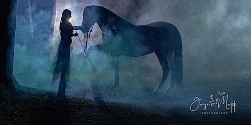 Equestra Presents 'Aura'- Saturday Afternoon Performance* | The Cavalier Centre