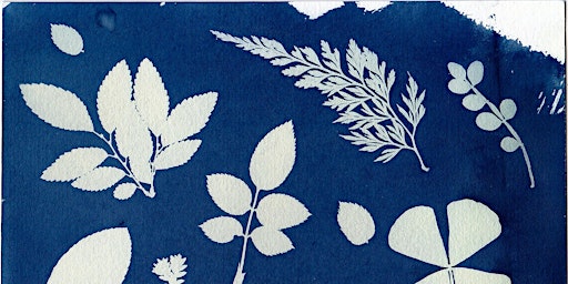 Botanical Blueprints: Cyanotype Workshop for Ages 12+ | 720 Bathurst St