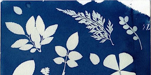 Botanical Blueprints: Cyanotype Workshop for Ages 12+ | 720 Bathurst St