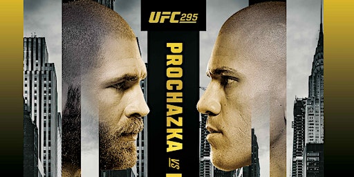 UFC 295 Watch Party | Nellis Air Force Base