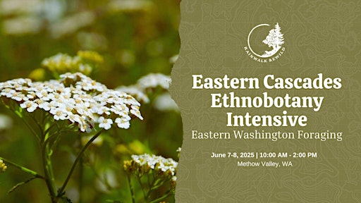 Eastern Cascades Ethnobotany Intensive | Winthrop