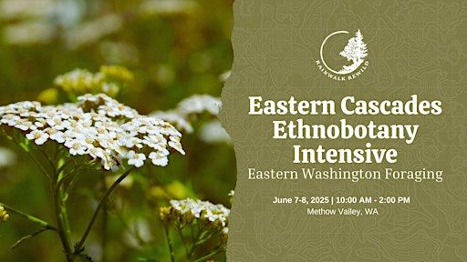 Eastern Cascades Ethnobotany Intensive | Winthrop