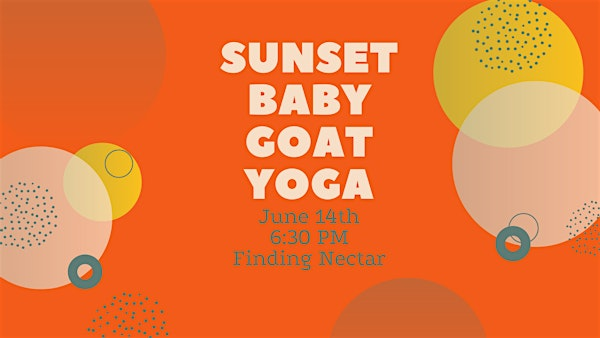 Sunset Baby Goat Yoga | Finding Nectar Nursery