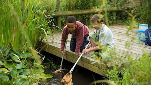 Pond Dipping at Lorton Meadows | Lorton Meadows Conservation Centre & Nature Reserve