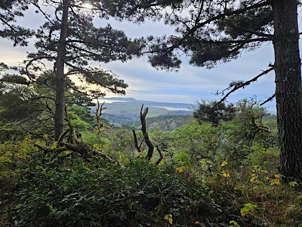 Backcountry First Aid | Bear Valley Visitor Center