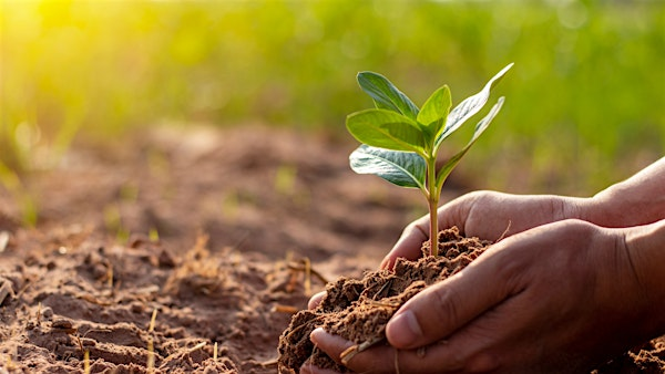 Proper Planting | Wheeler Historic Farm Outdoor Education Center