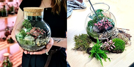 Beginner Terrarium Workshop at Carlton Towers | Carlton Towers