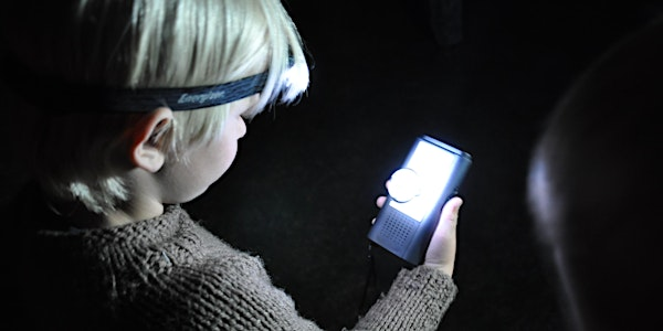 Dunsmore Brilliant Bats - Bat Walk at Village Farm, Marton | Village Farm