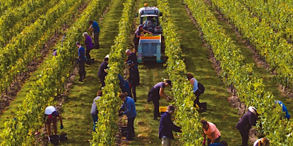 Networking with a Difference at Chapel Down Winery | Chapel Down