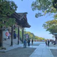 【金刀比羅宮】香川県で一度は行きたい！