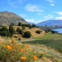 Cruise from Wanaka