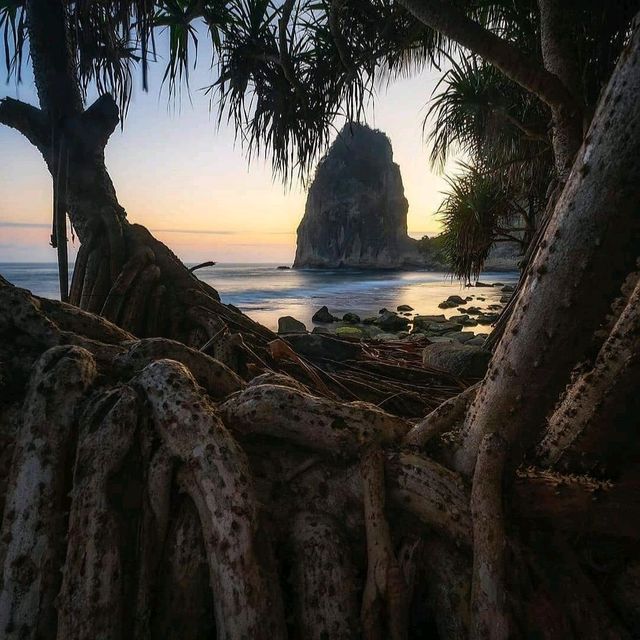 PANGASAN BEACH : PACITAN
