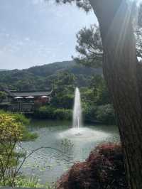 가을 여행지 추천 :: 화담숲🌳