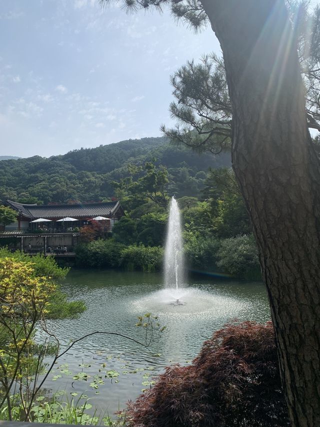 가을 여행지 추천 :: 화담숲🌳