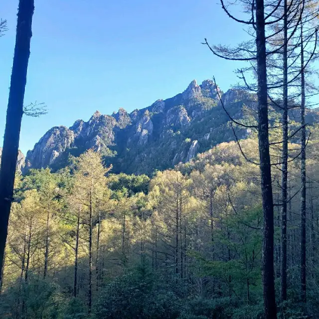 【山梨県】瑞牆山