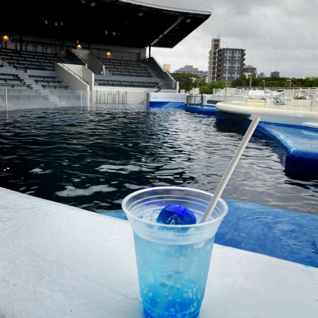 [京都]  京都水族館　