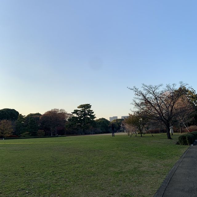 皇居外苑&東御苑