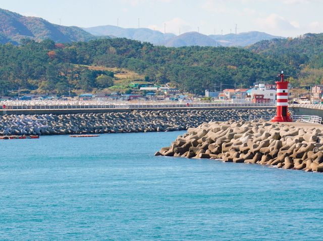 경주 감포항에 바다 보러 가요!