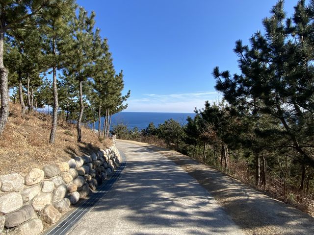 포항 사방기념공원 산위에 배가!