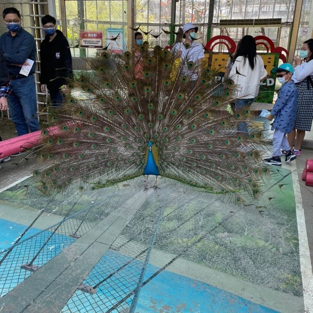 台南人小時候必去的動物園