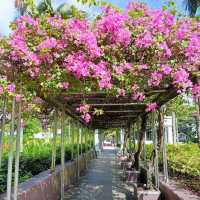 Istana Park - a small city park in Orchard