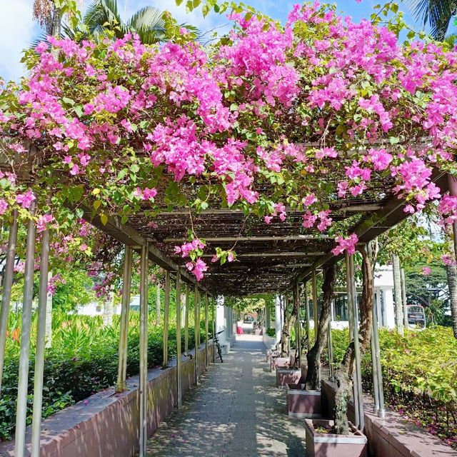 Istana Park - a small city park in Orchard