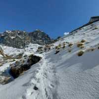 trekking to Annapurna base camp