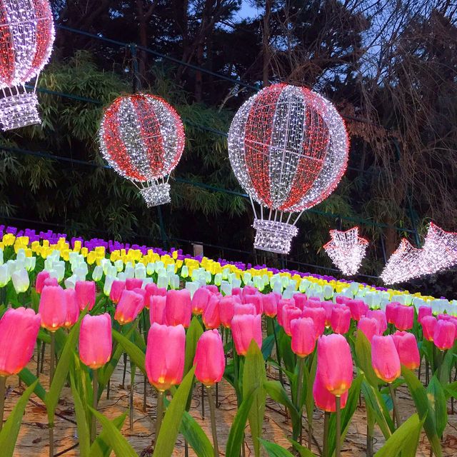 야간에 놀기 좋은곳 대구 이월드 🎠