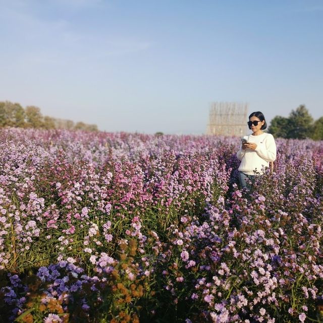 สิงห์ปาร์ค เที่ยวหน้าหนาวจะผิดหวังได้ไง สวยมาก