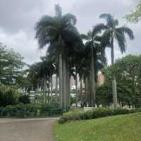 環境舒適嘅市鎮公園