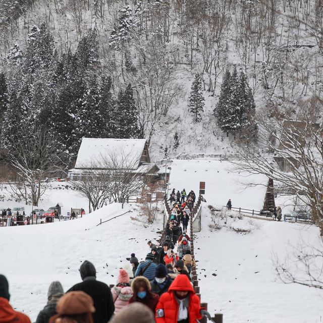 ชิราคาวาโกะ * Shirakawago 