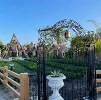 The Air KhaoYai พักผ่อนรับโอโซน